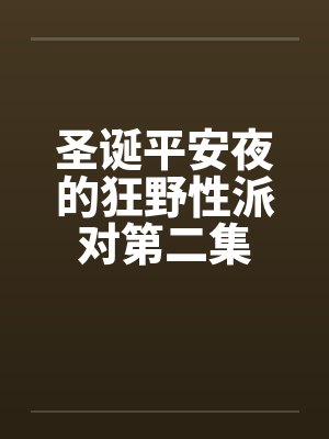 圣诞平安夜的狂野性派对第二集封面