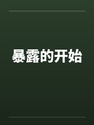 暴露的开始by佚名封面