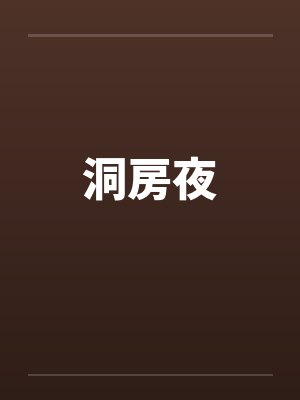 洞房夜by佚名封面