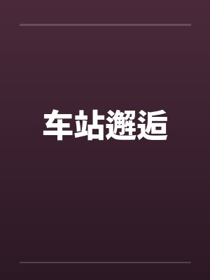 车站邂逅笔趣阁无弹窗封面
