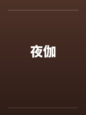夜伽封面