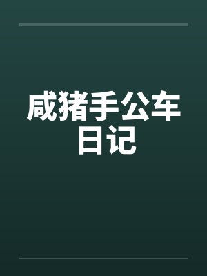 咸猪手公车日记by佚名封面