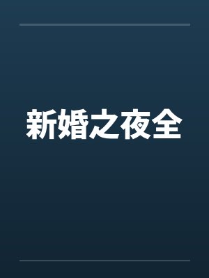 新婚之夜全by佚名封面