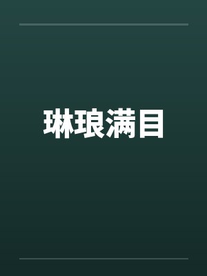 琳琅满目什么意思解释一下封面