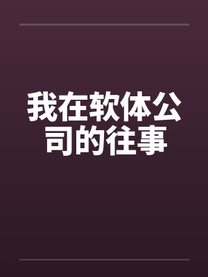 我在软体公司的往事by佚名笔趣阁无弹窗封面