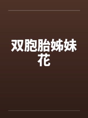 双胞胎姊妹花封面