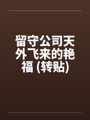 留守公司天外飞来的艳福 (转贴)by佚名封面