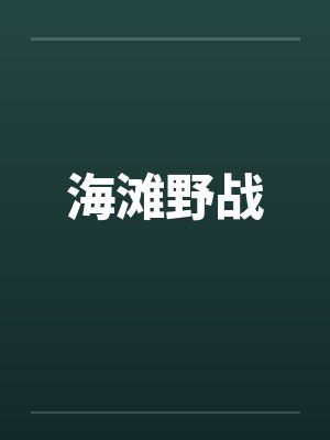 海滩野战by佚名封面