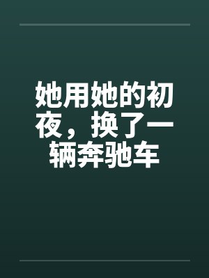 她用她的初夜，换了一辆奔驰车by佚名笔趣阁无弹窗封面
