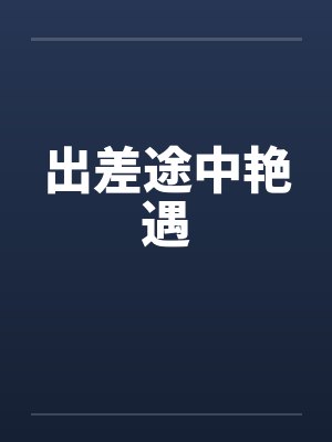 出差途中艳遇封面