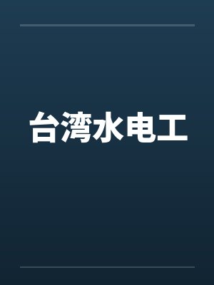 台湾水电工by佚名封面