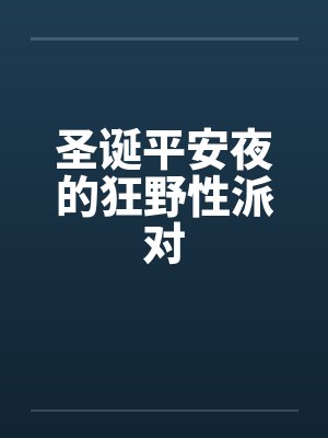 圣诞平安夜的狂野性派对by佚名封面