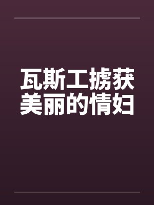 瓦斯工掳获美丽的情妇封面