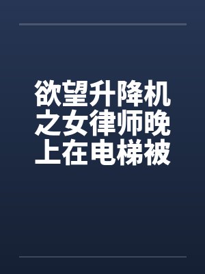 欲望升降机之女律师晚上在电梯被笔趣阁无弹窗封面