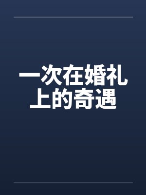 一次在婚礼上的奇遇封面