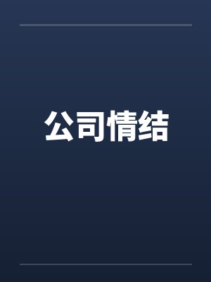 公司情结by佚名封面