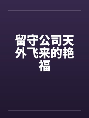 留守公司天外飞来的艳福by佚名封面