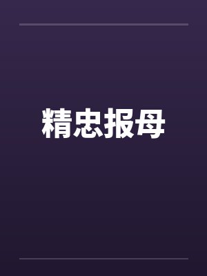 精忠报母笔趣阁无弹窗封面
