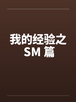 我的经验之 SM 篇by佚名封面