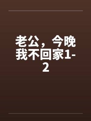 老公，今晚我不回家1-2封面