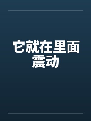它就在里面震动by佚名封面