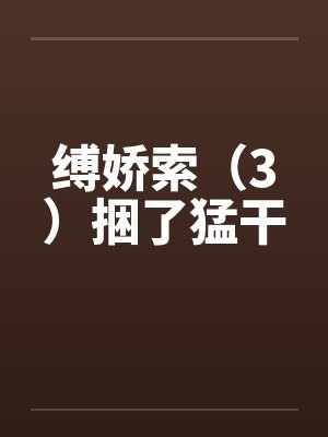 缚娇索（3）捆了猛干封面