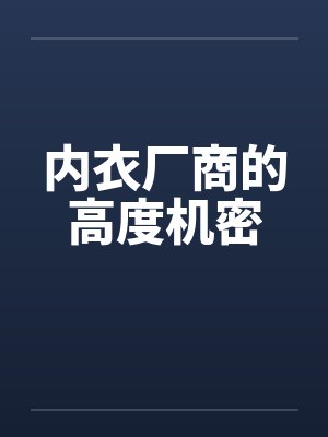 内衣厂商的高度机密by佚名封面