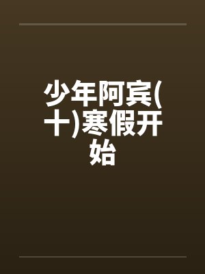 少年阿宾(十)寒假开始by佚名笔趣阁无弹窗封面