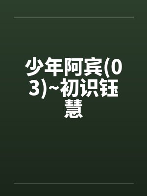 少年阿宾(03)~初识钰慧封面