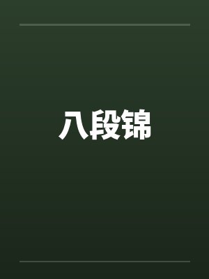 小说八段锦封面