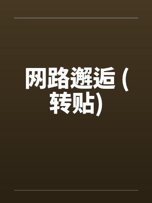 网路邂逅 (转贴)笔趣阁无弹窗封面