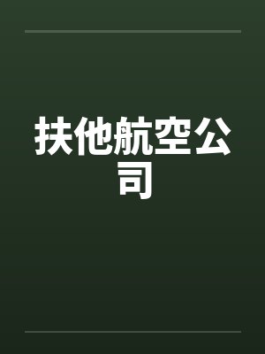 扶他航空公司by佚名封面