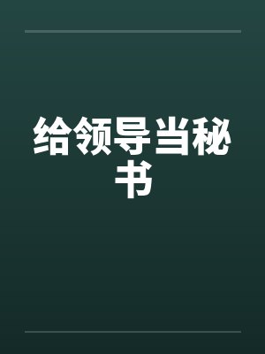 给领导当秘书封面
