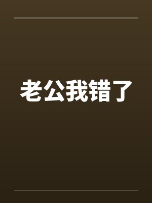 老公我错了封面