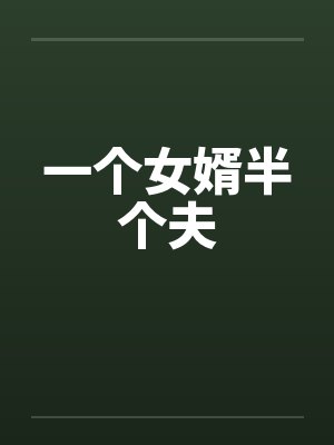 一个女婿半个夫封面