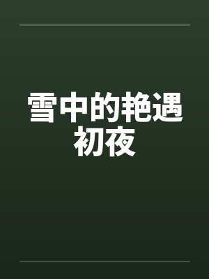 雪中的艳遇初夜by佚名封面
