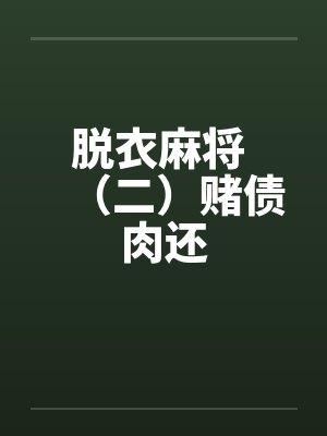 脱衣麻将 （二）赌债肉还笔趣阁无弹窗封面