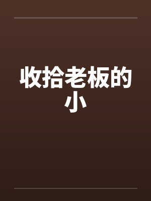 收拾老板的小by佚名封面