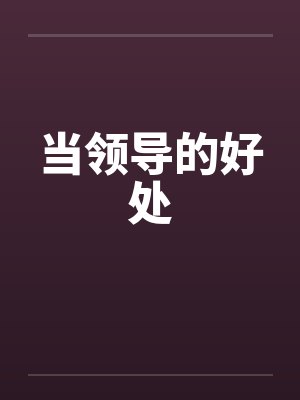 当领导的好处封面