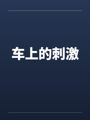车上的刺激封面