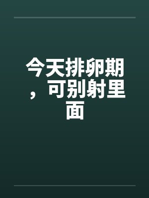 今天排卵期，可别射里面by佚名封面
