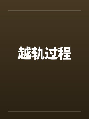 越轨过程封面