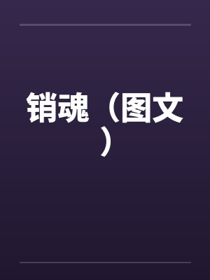 销魂（图文）封面