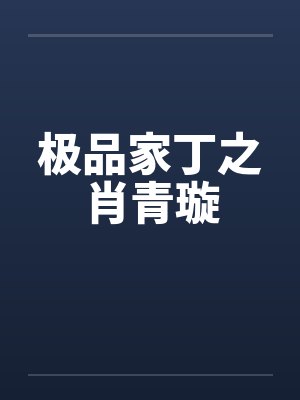 极品家丁之肖青璇封面