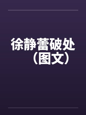 徐静蕾破处（图文）笔趣阁无弹窗封面