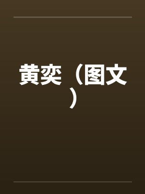 黄奕（图文）笔趣阁无弹窗封面