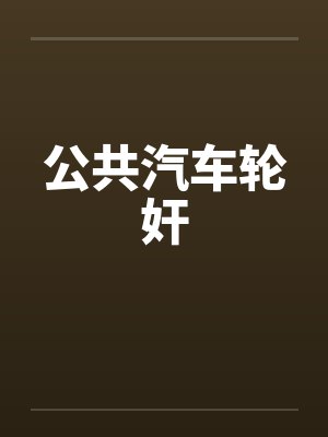 公共汽车轮奸笔趣阁无弹窗封面