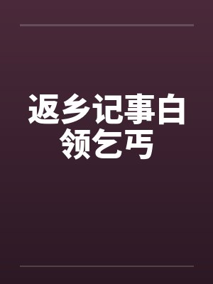 返乡记事白领乞丐封面
