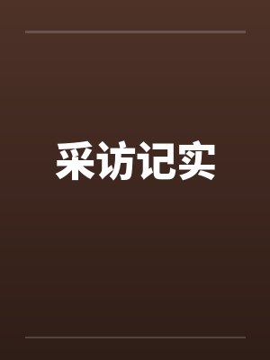 采访记实by佚名封面