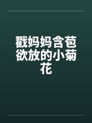 戳妈妈含苞欲放的小菊花封面
